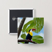 Tocan tropical en un árbol