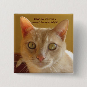 Chapa Cuadrada Todos merecen una segunda oportunidad... ¡Adopten!