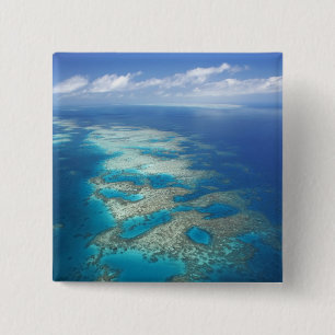 Chapa Cuadrada Tongue Reef, Parque Marino de la Gran Barrera de C
