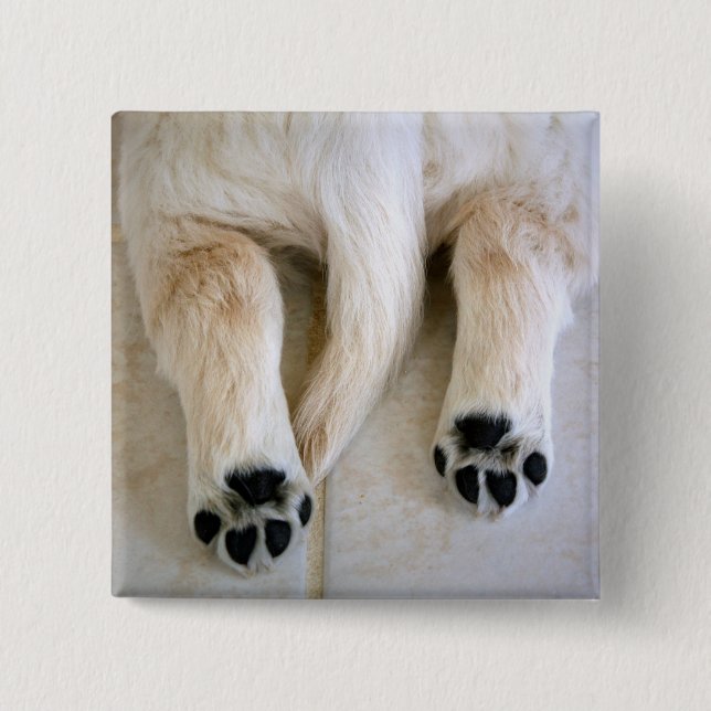 Chapa Cuadrada Toques de Cachorro de Golden Retriever (Anverso)
