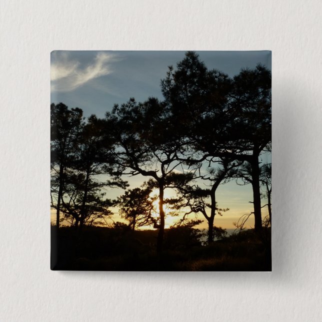 Chapa Cuadrada Torrey Pine Sunset II California (Anverso)