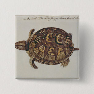 Chapa Cuadrada Tortuga de caja común