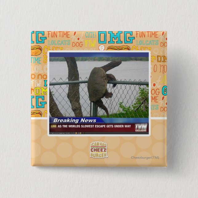 Chapa Cuadrada Tortuga de Excaping (Anverso)