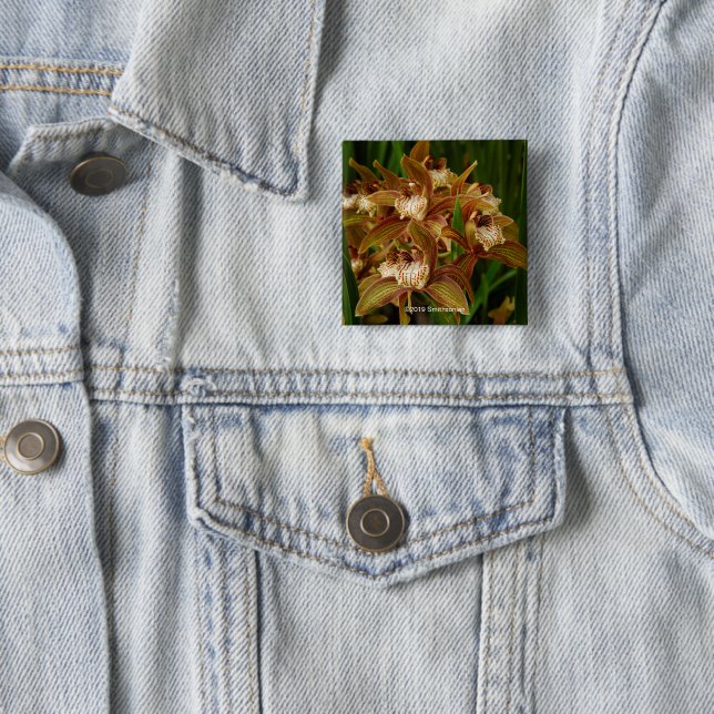 Chapa Cuadrada Tracyanum del Cymbidium (In situ)