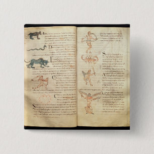 Chapa Cuadrada Trayectoria de la luna a través de las