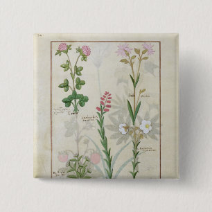 Chapa Cuadrada Trébol rojo y Onobrychis y Hyssopus de Aube