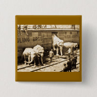 Tren del elefante de Ringling Bros de la
