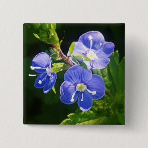 Chapa Cuadrada Tres flores azules