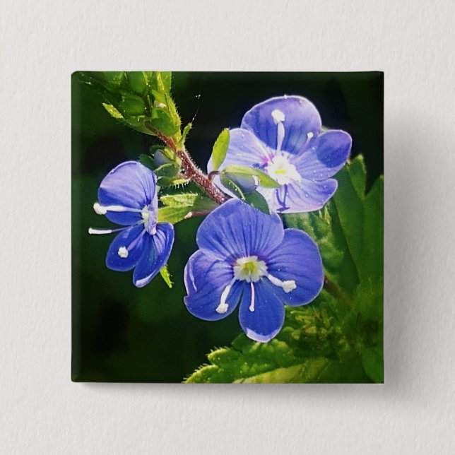 Chapa Cuadrada Tres flores azules (Anverso)