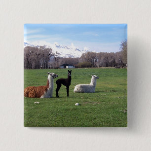 Chapa Cuadrada Tres llamas en campo
