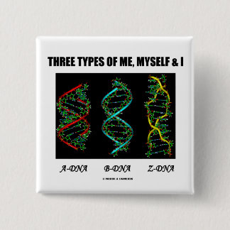 Chapa Cuadrada Tres tipos de mí, de mismo y I (A-DNA B-DNA Z-DNA)