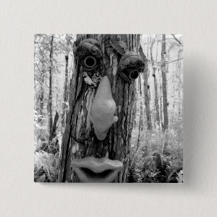 Chapa Cuadrada Troll del árbol en un árbol Big Cypress.