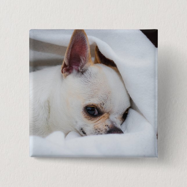 Chapa Cuadrada Tu mascota perro cachorro personalizado foto chihu (Anverso)