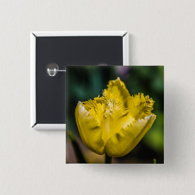 Chapa Cuadrada Tulip amarillo (Anverso y reverso)