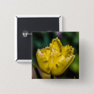 Chapa Cuadrada Tulip amarillo