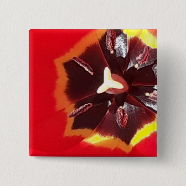 Chapa Cuadrada Tulip Rojo Scarlet (Anverso)