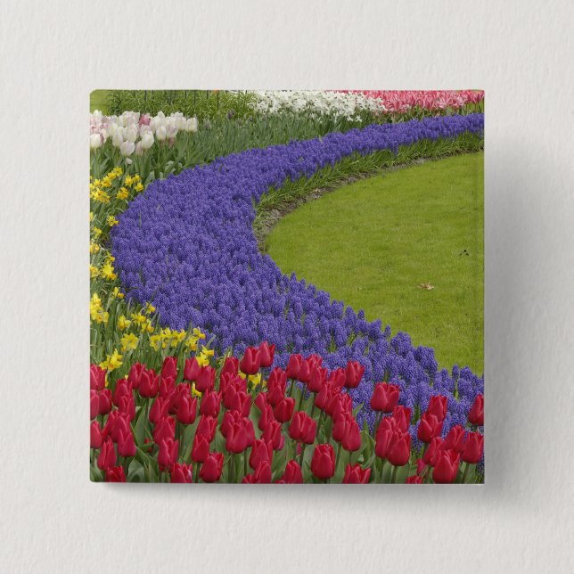 Chapa Cuadrada Tulipán, Hyacinth de uva y jardín de daffodias, (Anverso)