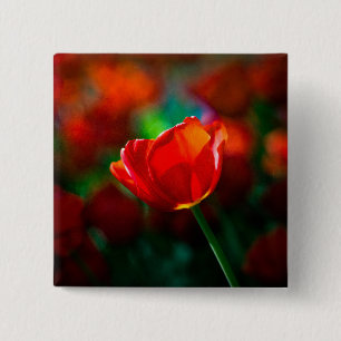 Chapa Cuadrada Tulipán rojo - Misterio del florecimiento