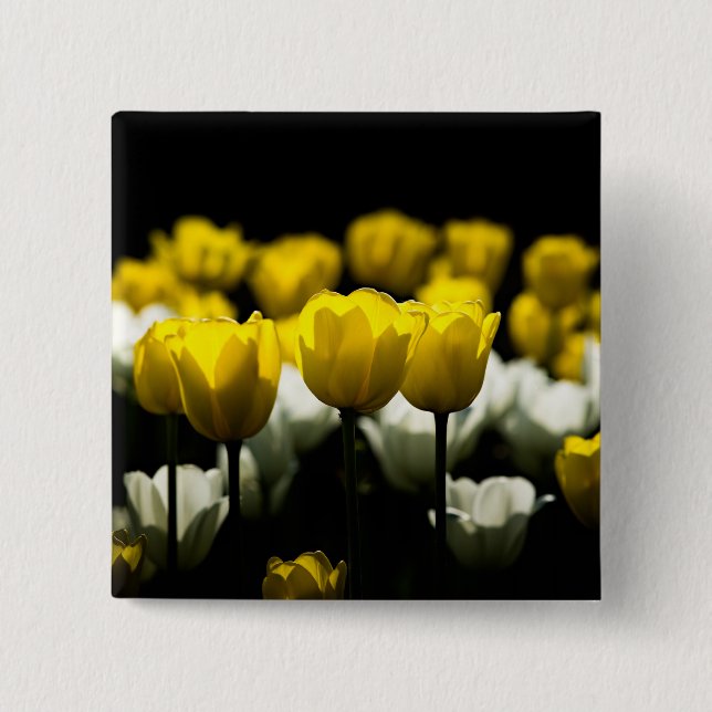 Chapa Cuadrada Tulipanes Amarillo Y Blanco (Anverso)
