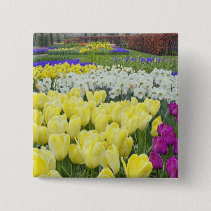 Chapa Cuadrada Tulipanes, narcisos y flores de jacinto de uva,