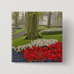 Chapa Cuadrada Tulipanes y narcisos, Jardines Keukenhof,