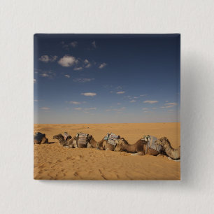 Chapa Cuadrada Túnez, zona Ksour, Ksar Ghilane, Gran Erg 4