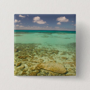 Chapa Cuadrada Turcas y Caicos, Isla Gran Turca, Cockburn 2