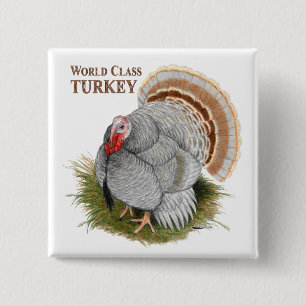 Chapa Cuadrada Turquía: Clase mundial