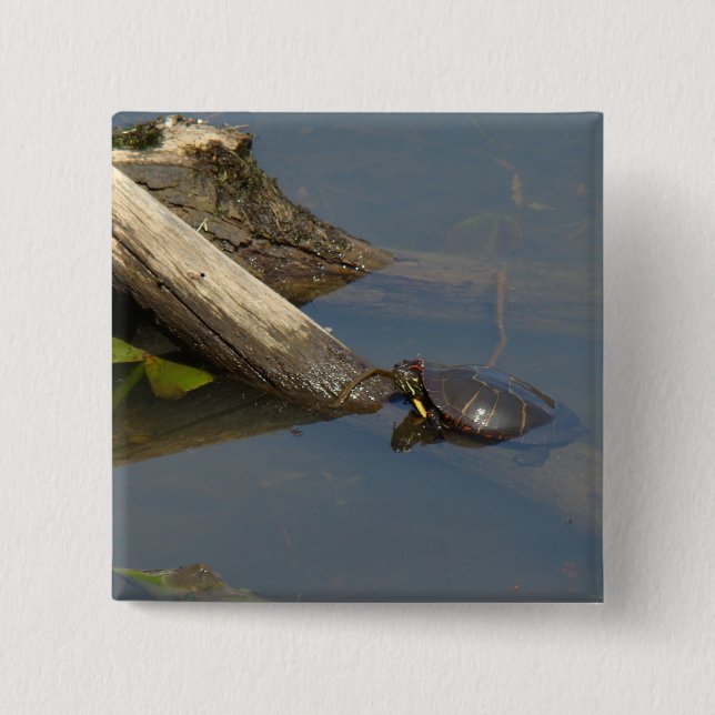 Chapa Cuadrada Turtle's Day Off (Anverso)