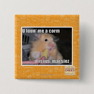 Chapa Cuadrada U me encontró un maíz