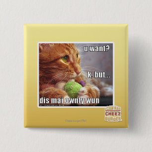 Chapa Cuadrada ¿U quiere?