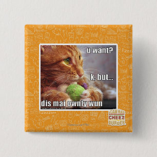 Chapa Cuadrada ¿U quiere?