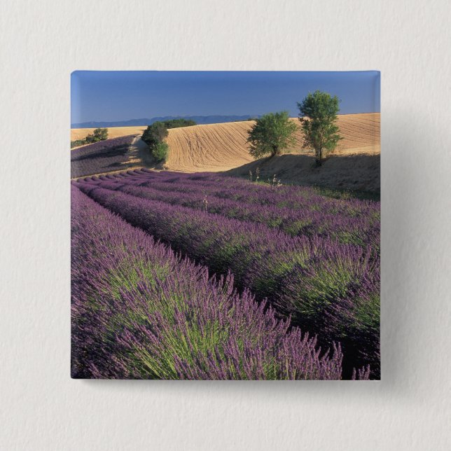 Chapa Cuadrada UE, Francia, Provenza, Campos de lavanda 3 (Anverso)