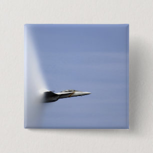 Chapa Cuadrada Un avispón estupendo de F/A-18E alcanza la