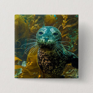 Chapa Cuadrada Un bosque curioso el   Santa Barbara del quelpo