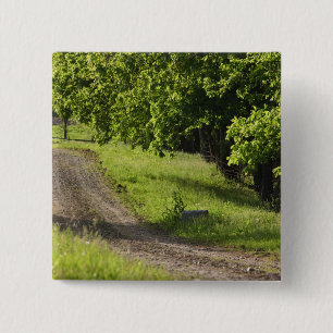 Chapa Cuadrada Un camino de campo en Ipswich, Massachusetts