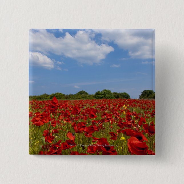 Chapa Cuadrada Un campo por completo de flores rojas (Anverso)