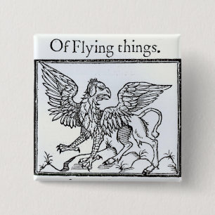 Chapa Cuadrada Un grifo