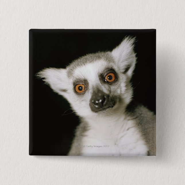 Chapa Cuadrada Un lemur. (Anverso)