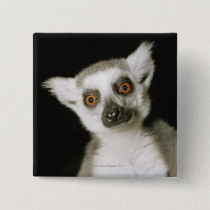 Chapa Cuadrada Un lemur.