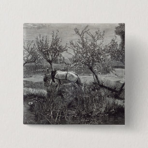 Chapa Cuadrada Un pequeño pozo tilled', Picardía de la granja
