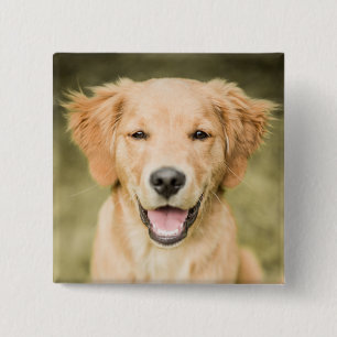 Chapa Cuadrada Un retrato de un perrito del golden retriever