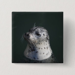 Chapa Cuadrada Un sello de puerto