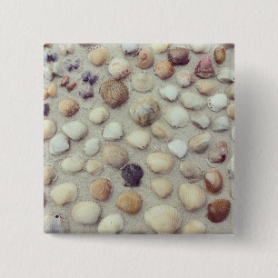Chapa Cuadrada Una colección de Seashells