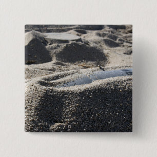 Chapa Cuadrada Una exhibición estática de una cáscara de la