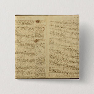 Chapa Cuadrada Una página del códice Leicester, 1508-12