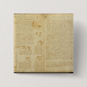 Chapa Cuadrada Una página del códice Leicester, 1508-12