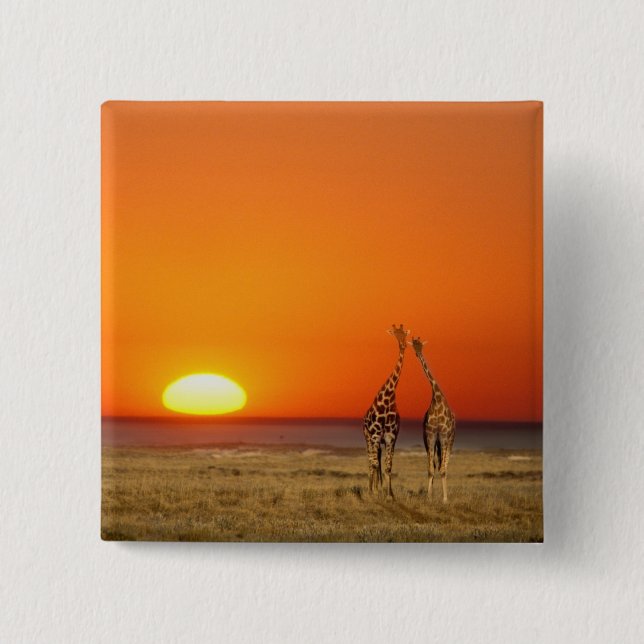 Chapa Cuadrada Una pareja de jirafas entra en la puesta de sol, e (Anverso)