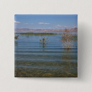 Chapa Cuadrada UT, Lago Bear