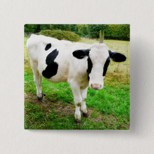 Chapa Cuadrada Vaca blanco y negro del apóstrofe S